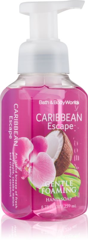 Bath & Body Works Caribbean Escape Foaming Hand Soap