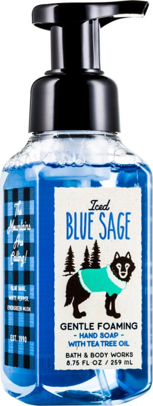 Bath & Body Works Iced Blue Sage Foaming Hand Soap