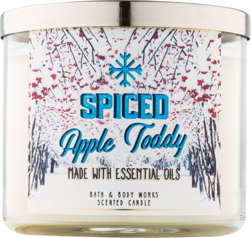 Bath & Body Works Camp Winter Spiced Apple Toddy Duftkerze 411 g