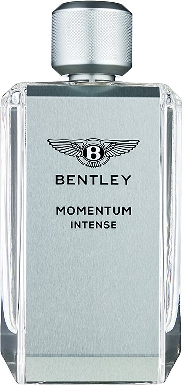 Bentley Momentum Intense Parfumovaná voda pre mužov 100 ml