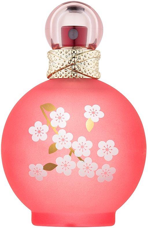 Britney Spears Fantasy in Bloom eau de toilette pour femme 100 ml