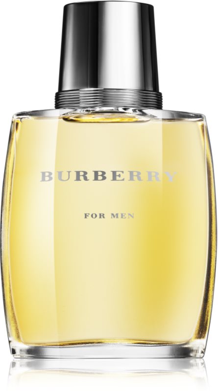 Burberry Burberry for Men Eau de Toilette Herren 100 ml