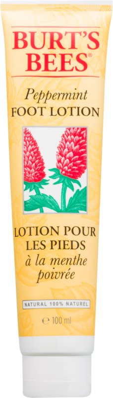 Burt’s Bees Peppermint Fusscreme mit Pfefferminz