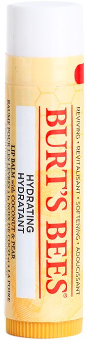 Burt’s Bees Lip Care Moisturizing Lip Balm