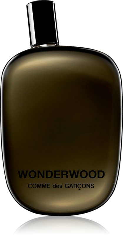 Comme des Garçons Wonderwood woda perfumowana dla mężczyzn 100 ml