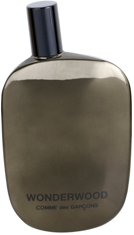 Comme des Garçons Wonderwood Parfumovaná voda pre mužov 100 ml