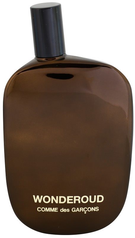 Comme des Garçons Wonderoud Parfumovaná voda tester unisex 100 ml