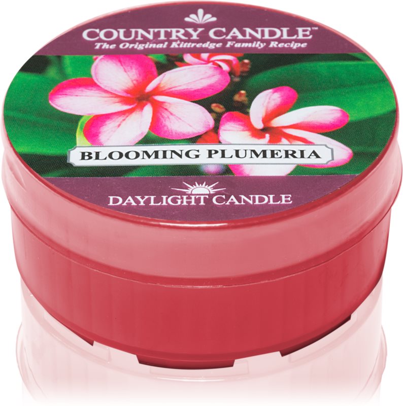 Country Candle Blooming Plumeria Teelicht 35 g