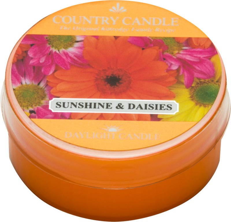 Country Candle Sunshine & Daisies bougie chauffe-plat 42 g