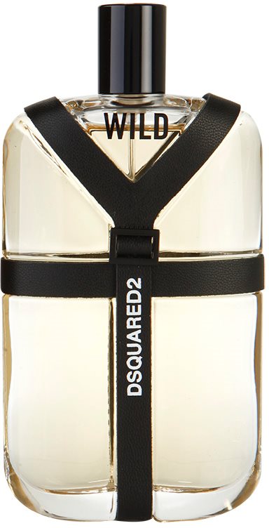 Dsquared2 Wild Eau de Toillete για άνδρες 100 μλ