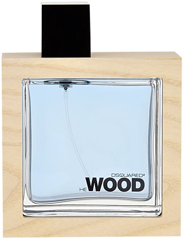 Dsquared2 He Wood Ocean Wet Wood toaletná voda pre mužov 100 ml