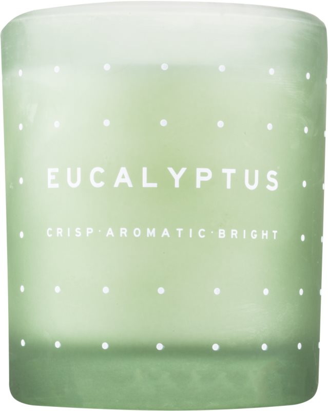 DW Home Eucalyptus vonná svíčka 371,3 g