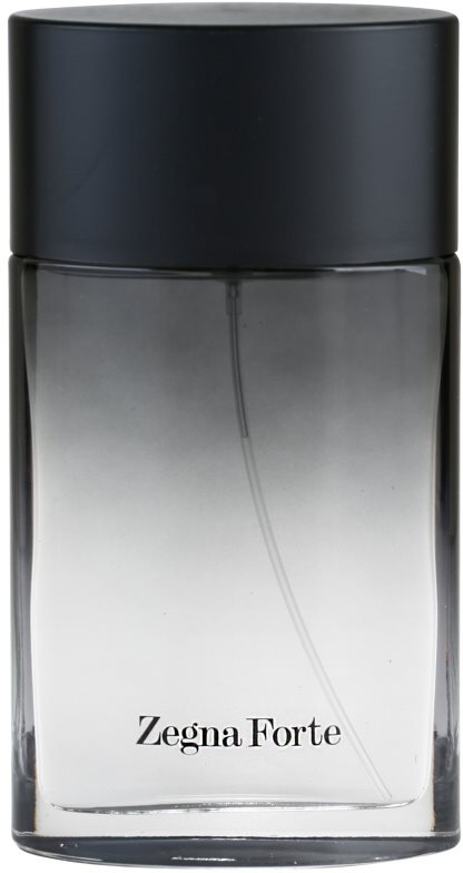 Ermenegildo Zegna Zegna Forte toaletná voda pre mužov 100 ml