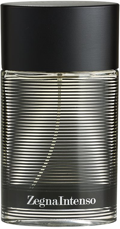 Ermenegildo Zegna Zegna Intenso toaletní voda pro muže 50 ml