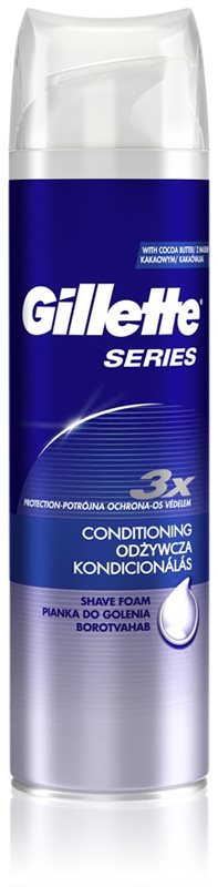 Gillette Series Shaving Foam