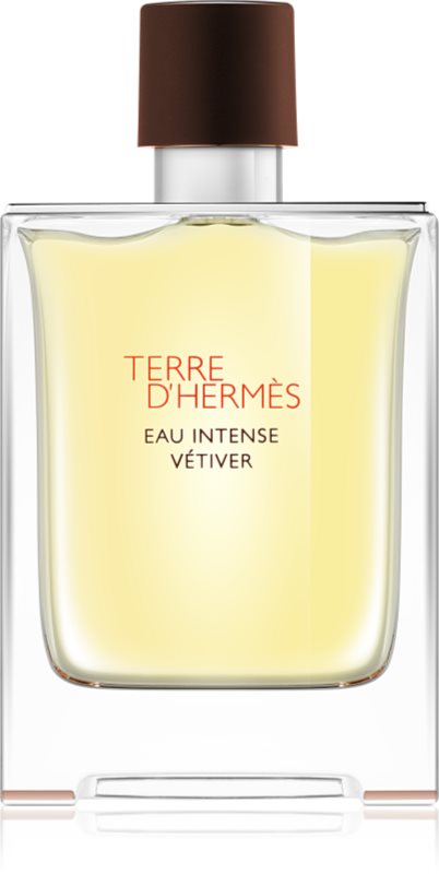 Hermès Terre d'Hermès Eau Intense Vétiver parfumska voda za moške 100 ml