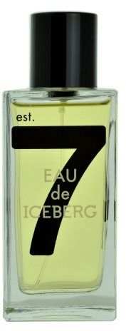 Iceberg Eau de 74 Pour Homme Eau de Toilette für Herren 100 ml