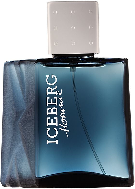 Iceberg Homme woda toaletowa dla mężczyzn 100 ml