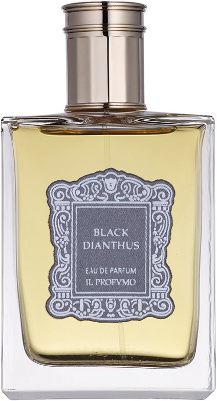 IL PROFVMO Black Dianthus parfumska voda uniseks 100 ml