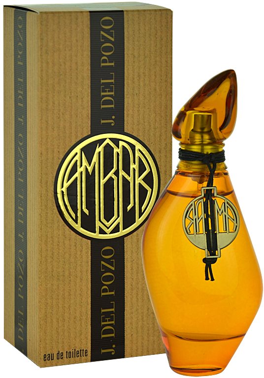 Jesus Del Pozo Ambar toaletna voda za ženske 100 ml