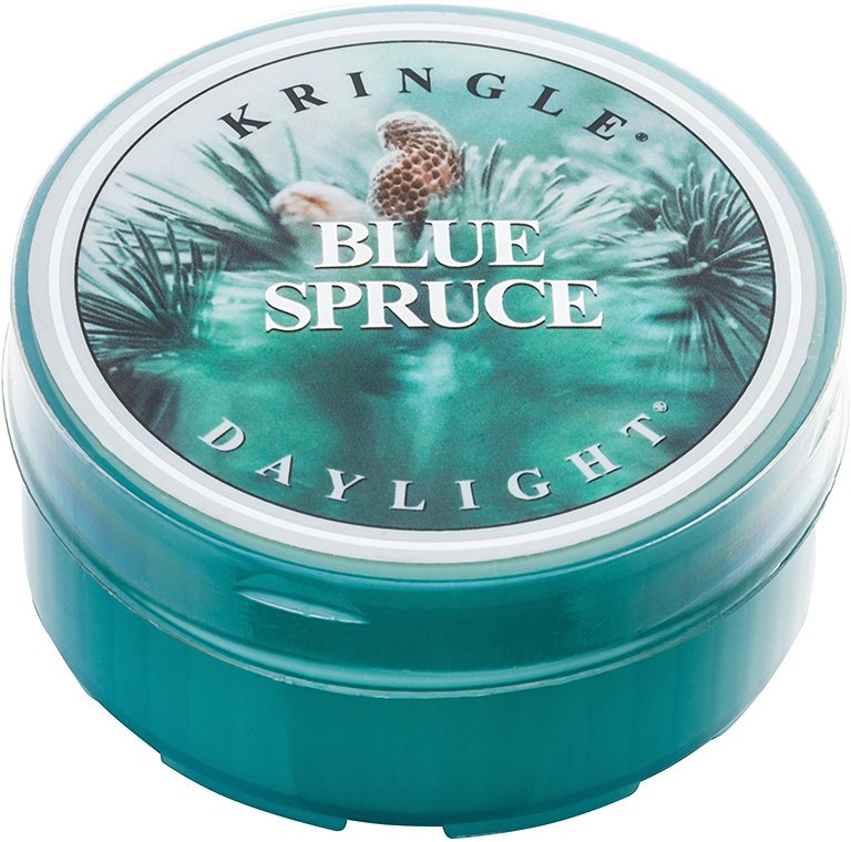 Kringle Candle Blue Spruce Teelicht 35 g