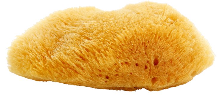 Magnum Natural Карибська морська губка