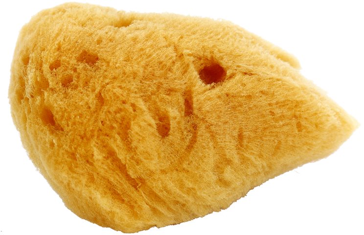 Magnum Natural naravna morska goba za umivanje obraza