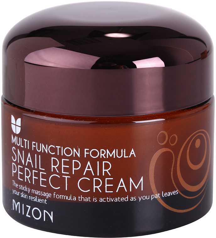 Mizon Multi Function Formula krem do twarzy z ekstraktem ze śluzu z ślimaka 60%
