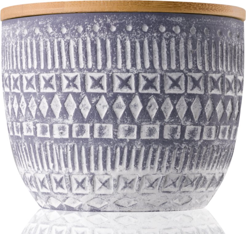 Paddywax Sonora Wildflowers & Birch vonná svíčka 283 g