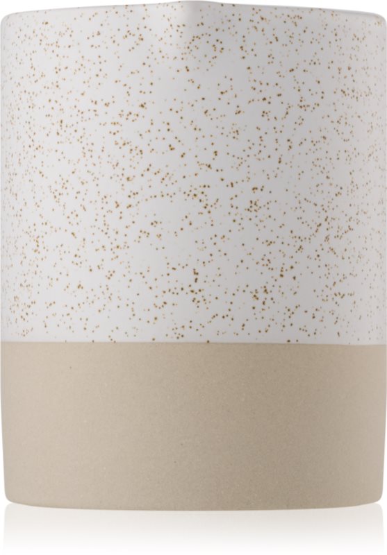 Paddywax Mesa Black Salt & Birch lumânare parfumată 283 g