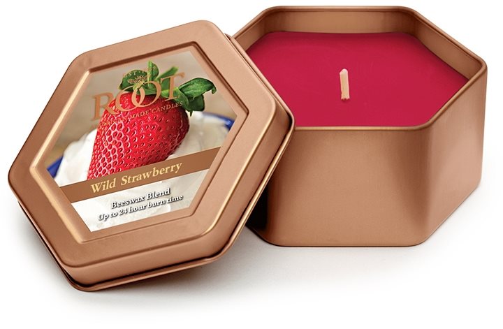 Root Candles Wild Strawberry bougie parfumée 113 g en métal