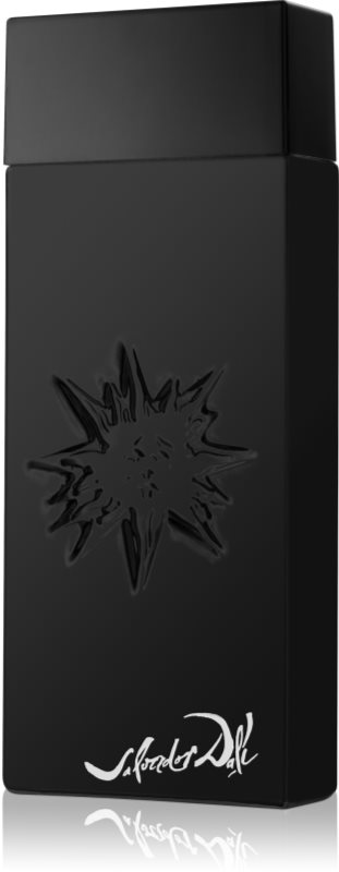 Salvador Dali Black Sun woda toaletowa dla mężczyzn 100 ml