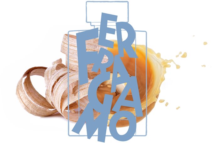 Salvatore Ferragamo Uomo Casual Life toaletná voda pre mužov 100 ml