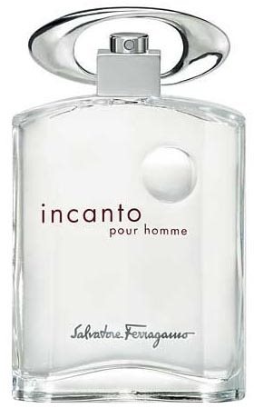 Salvatore Ferragamo Incanto Pour Homme woda toaletowa dla mężczyzn 100 ml