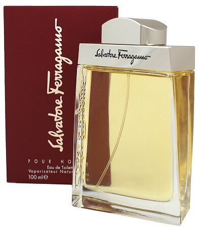 Salvatore Ferragamo Pour Homme woda toaletowa dla mężczyzn 100 ml