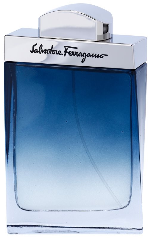 Salvatore Ferragamo Subtil Pour Homme Eau de Toilette für Herren 100 ml