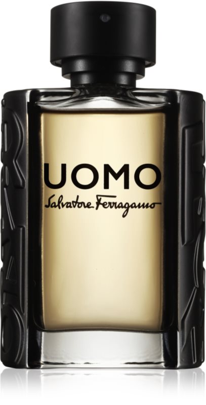 Salvatore Ferragamo Uomo Eau de Toilette for Men 100 ml