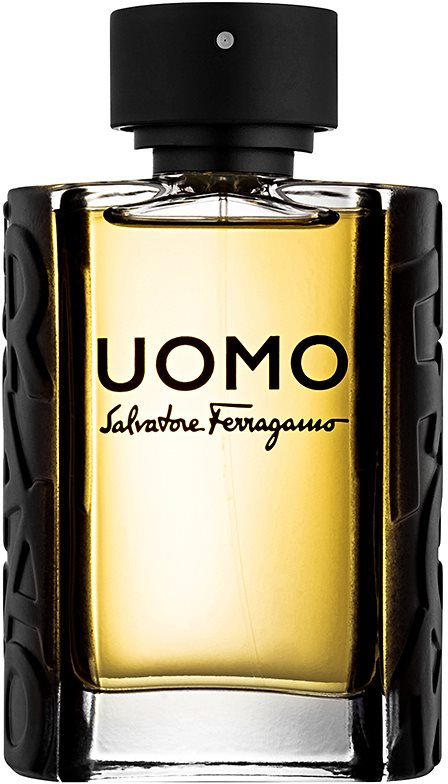 Salvatore Ferragamo Uomo woda toaletowa tester dla mężczyzn 100 ml