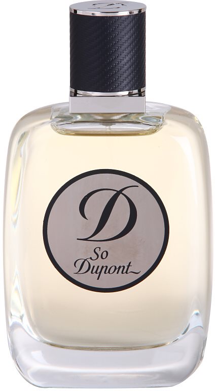 S.T. Dupont So Dupont Eau de Toilette for Men 100 ml