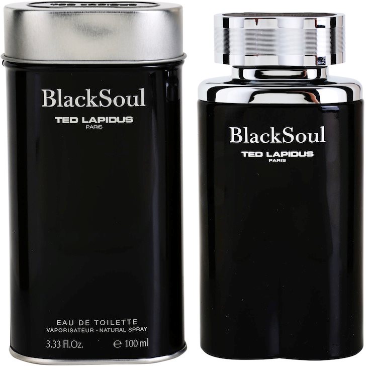 Ted Lapidus Black Soul toaletní voda pro muže 100 ml