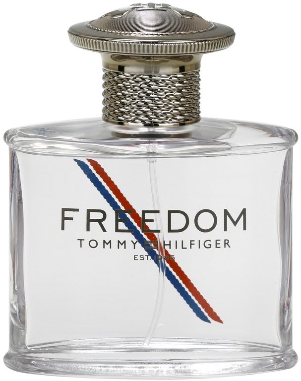 Tommy Hilfiger Freedom eau de toilette pour homme 50 ml