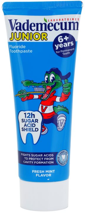 Vademecum Junior dentifrice pour enfant saveur menthe