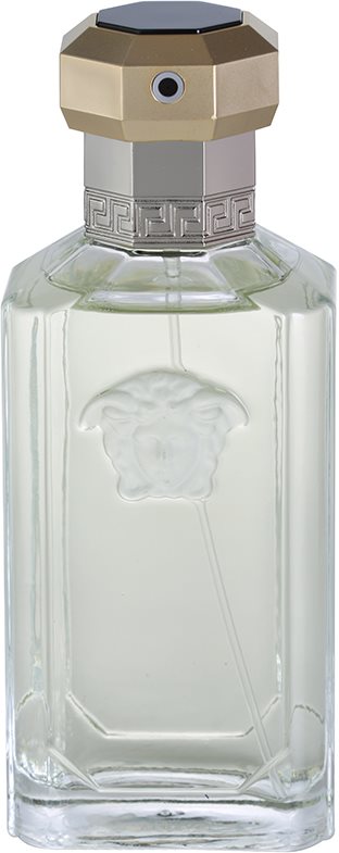 Versace The Dreamer eau de toilette para hombre 100 ml