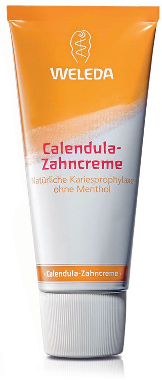 Weleda Dental Care Toothpaste