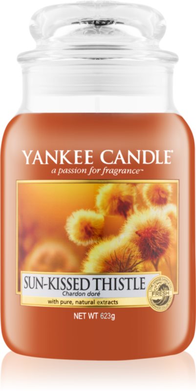 Yankee Candle Sun-Kissed Thistle vonná svíčka 623 g Classic velká