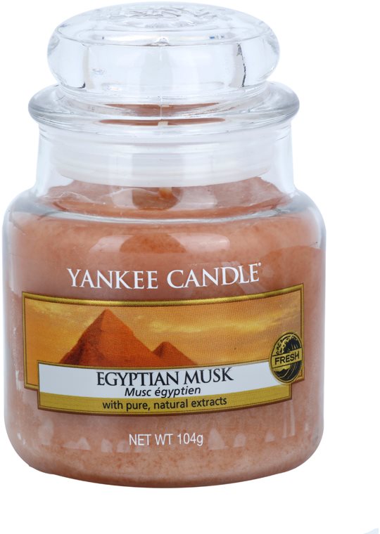 Yankee Candle Egyptian Musk Duftkerze 104 g Classic mini