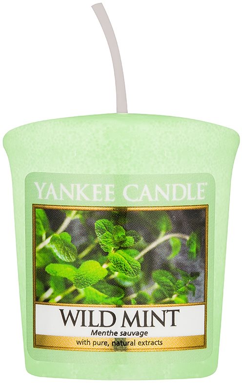 Yankee Candle Wild Mint Votivkerze 49 g