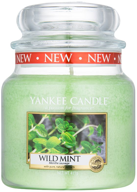 Yankee Candle Wild Mint Duftkerze 411 g Classic medium