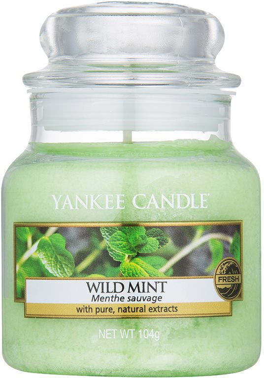Yankee Candle Wild Mint lumânare parfumată 104 g Clasic mini