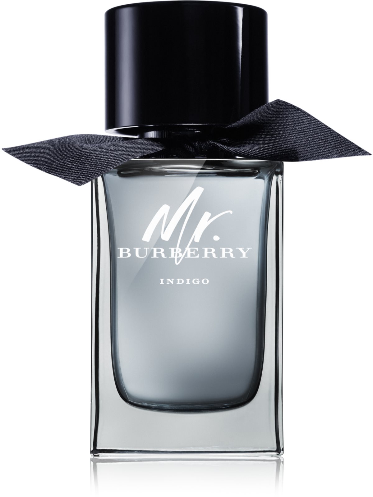 Burberry Mr. Burberry Indigo, woda toaletowa dla mężczyzn 100 ml ...